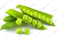 Pea protein isolated