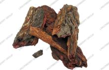 Pine Bark Extract
