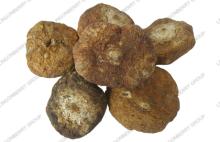 Maca extract
