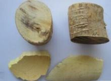  Tongkat   ali  extract
