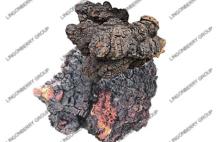 Chaga mushroom extract