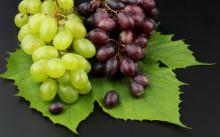 Grape skin  anthocyanin 