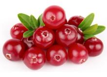  Cranberry   Juice  Powder