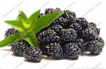  Blackberry  juice powder
