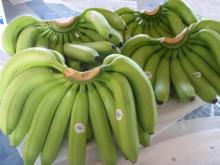 Fresh Bananas