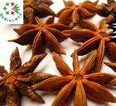 2014 nomal Star-aniseeds
