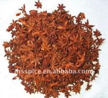 Spice/ organic star aniseeds