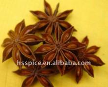 autumn stemless star aniseeds
