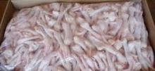 Halal Frozen Chicken Feet & Paws New Zealand Origin