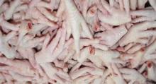 GRADE A  FROZEN   CHICKEN  FEET AVAILABLE FOR SHIPMENT TO  VIETNAM 