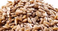 Almond Nuts (without shells)