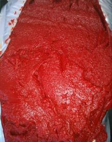 tomato paste in drums