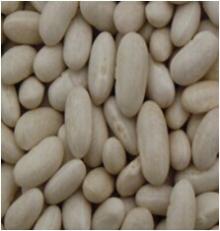 white kidney beans