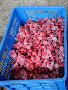 Healthy Freeze Dried Strawberry