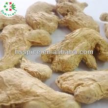 F.A.Q dry ginger whole