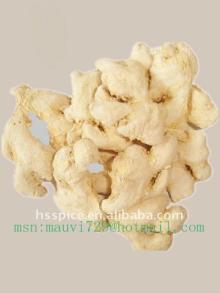 condiment/ dry ginger whole
