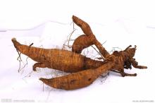 Pueraria/Kudzu Extract:
