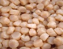  DRIED  SCALLOP