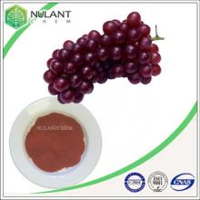 Good price Grape Seed Extract 95% Proanthocyanidins