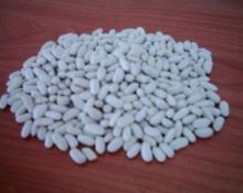 White and Red Kidney Beans