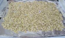 Pumpkin Seed