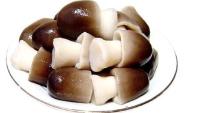Canned Straw Mushrooms Prices