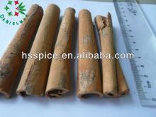cassia tube/cinnamon tube