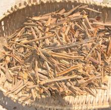 cinnamon broken