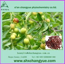 pure natural jujube extract powder