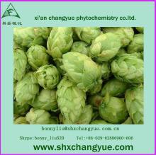 factory price  Humulus   lupulus  Extract