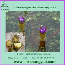 factory price gordon euryale seed extract