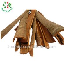 split cassia