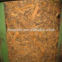 cassia broken pressed