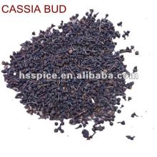 Cassia  bud 