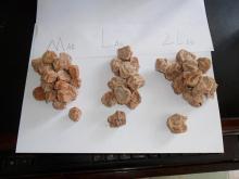 saliditos dry salted plum