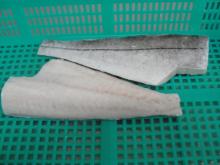 frozen  haddock   fillets 