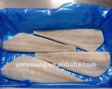 frozen pollock fillets