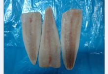 frozen  hake   fillets 