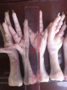 Frozen Chicken Feet Grade A Processed USA Origin