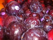 FRESH PLUMS FROM SOUTH AFRICA