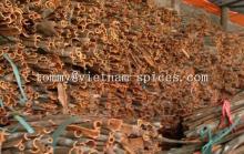 VIETNAM  CINNAMON /  CASSIA 