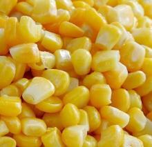 Frozen sweet corn