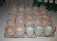 Fresh Egg Brown & White