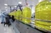 Refined&Crude Sunflower Oil for Cooking Food