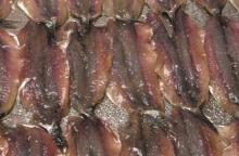 salted anchovies fillet