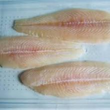  Frozen   Fish   Fillets 