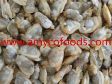 Frozen Short Necked Clam Meat