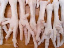 Frozen Chicken Paws And Feet for sale