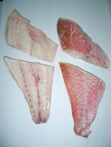 frozen redfish fillets