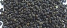 Black Pepper 550gl/ 500gl